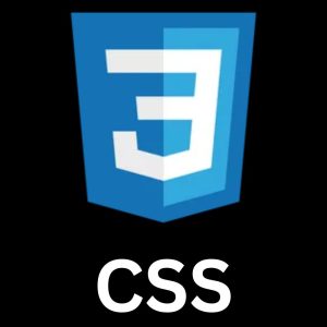 CSS - GenZCoderz